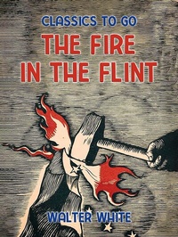 Enlarge image Cover: The Fire in the Flint - OTB eBook publishing