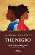 Cover: The Negro What Is His Ethnological Status? Is He the Progeny of Ham? - Lushena Books
