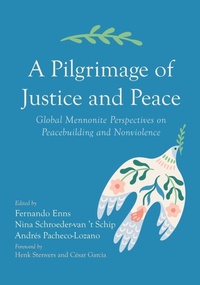 Enlarge image Cover: A Pilgrimage of Justice and Peace - Pickwick Publications