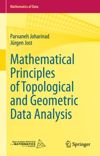 Enlarge image Cover: Mathematical Principles of Topological and Geometric Data Analysis - Springer