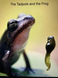 Cover: The Tadpole and the Frog - Quicksilver