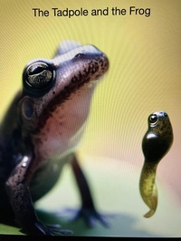 Enlarge image Cover: The Tadpole and the Frog - Quicksilver