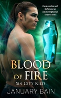 Cover: Blood of Fire - Totally Bound Publishing
