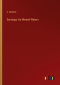 Cover: Saratoga - Outlook Verlag