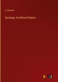 Cover: Saratoga - Outlook Verlag