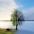 Cover: Seasons - Debra Gaskill