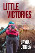 Cover: Little Victories - David J. O'Brien
