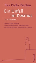 Cover: Ein Unfall im Kosmos - Wagenbach