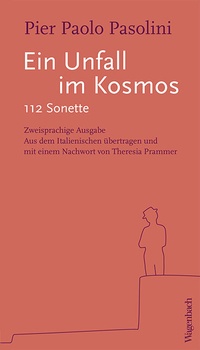Abbildung von: Ein Unfall im Kosmos - Wagenbach