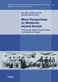 Cover: Minor Perspectives on Modernity beyond Europe - Ergon