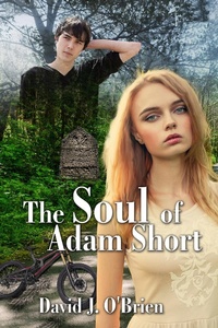 Enlarge image Cover: The Soul of Adam Short - David J. O'Brien