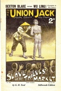 Cover: The Slave of the Thieves' Market - Stillwoods