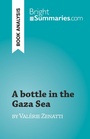 Cover: A bottle in the Gaza Sea - BrightSummaries.com