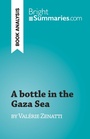 Cover: A bottle in the Gaza Sea - BrightSummaries.com
