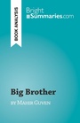 Cover: Big Brother - BrightSummaries.com