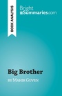 Cover: Big Brother - BrightSummaries.com