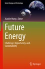 Cover: Future Energy - Springer