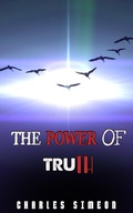 Cover: The Power Of Truth - FELIPE CHAVARRO POLAN&Iacute;A INC