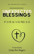 Cover: Unexpected Blessings Forgiveness - Raised Bridges