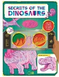 Cover: Secrets of the Dinosaurs - Igloo Books