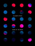Cover: SOUND OF THE BREAK - Mousse Publishing