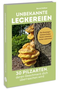 Abbildung von: Unbekannte Leckereien: 30 Pilzarten, deren Geschmack dich überraschen wird - YUNA