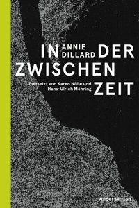 Enlarge image Cover: In der Zwischenzeit - Matthes & Seitz Berlin