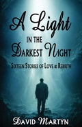 Cover: A Light in the Darkest Night - Windstorm Creative,US