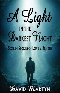 Enlarge image Cover: A Light in the Darkest Night - Windstorm Creative,US