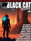 Cover: Black Cat Weekly #86 - Wildside Press