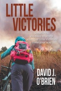 Cover: Little Victories - David J. O'Brien