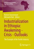 Cover: Industrialization in Ethiopia: Awakening - Crisis - Outlooks - Springer VS