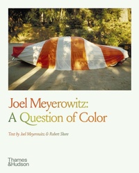 Enlarge image Cover: Joel Meyerowitz: A Question of Color - Thames & Hudson Ltd