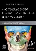 Cover: Le compagnon de l'atlas Netter - Guide d'anatomie - Masson