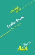 Cover: Gro&szlig;er Bruder - derQuerleser.de