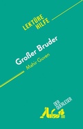 Cover: Grosser Bruder - Derquerleser.de