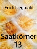 Cover: Saatk&ouml;rner 13 - Books on Demand