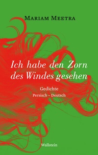 Abbildung von: Ich habe den Zorn des Windes gesehen - Wallstein