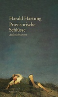 Cover: Provisorische Schl&uuml;sse - Wallstein