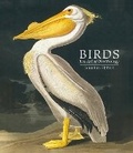 Cover: Birds - The Natural History Museum