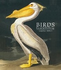 Enlarge image Cover: Birds - The Natural History Museum