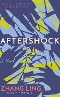 Abbildung von: Aftershock - Brilliance Audio