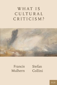 Enlarge image Cover: What Is Cultural Criticism? - Verso Books