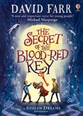 Cover: The Secret of the Blood-Red Key - Usborne Publishing Ltd