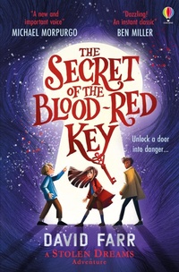 Abbildung von: The Secret of the Blood-Red Key - Usborne Publishing Ltd