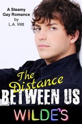 Cover: The Distance Between Us (Wilde's, #2) - GallagherWitt