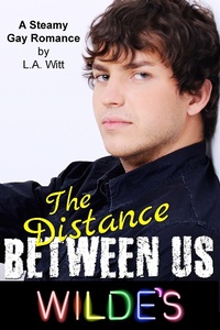Enlarge image Cover: The Distance Between Us (Wilde's, #2) - GallagherWitt