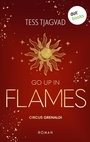 Cover: Go up in Flames - dotbooks