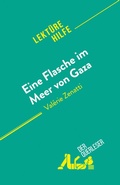 Cover: Eine Flasche im Meer von Gaza - Derquerleser.de