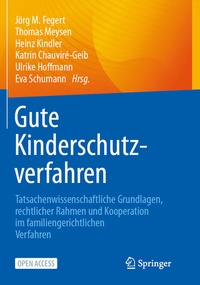 Abbildung von: Gute Kinderschutzverfahren - Springer